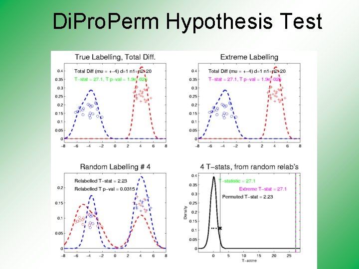 Di. Pro. Perm Hypothesis Test 