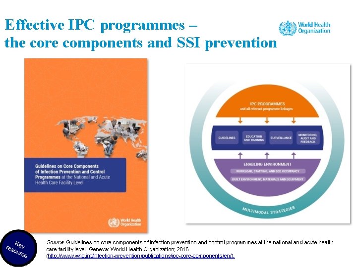 Effective IPC programmes – the core components and SSI prevention Source: Guidelines on core