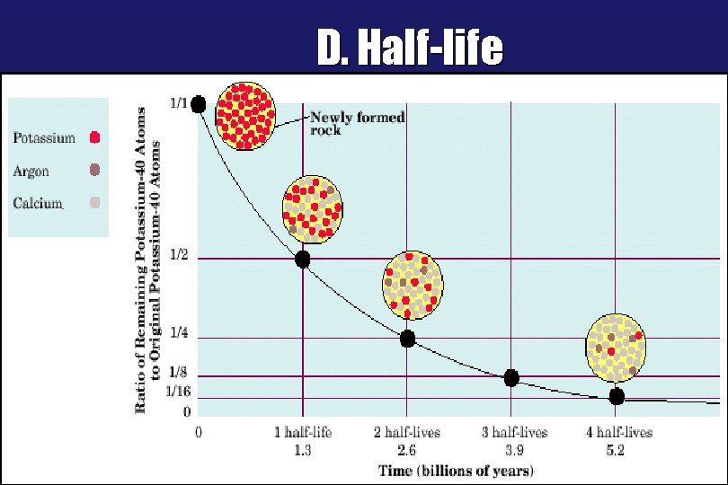 D. Half-life 