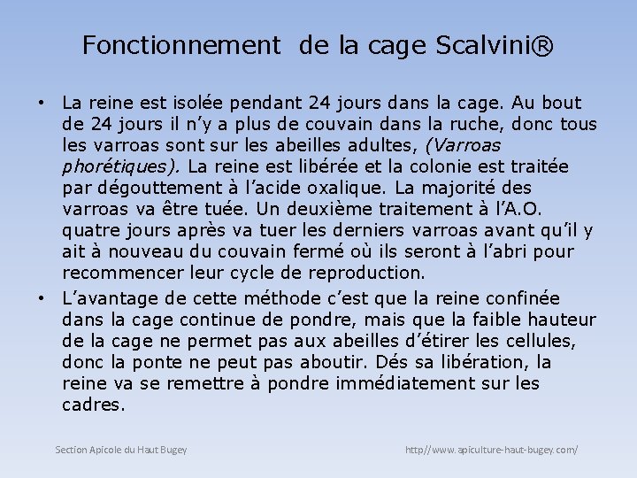 Fonctionnement de la cage Scalvini® • La reine est isolée pendant 24 jours dans