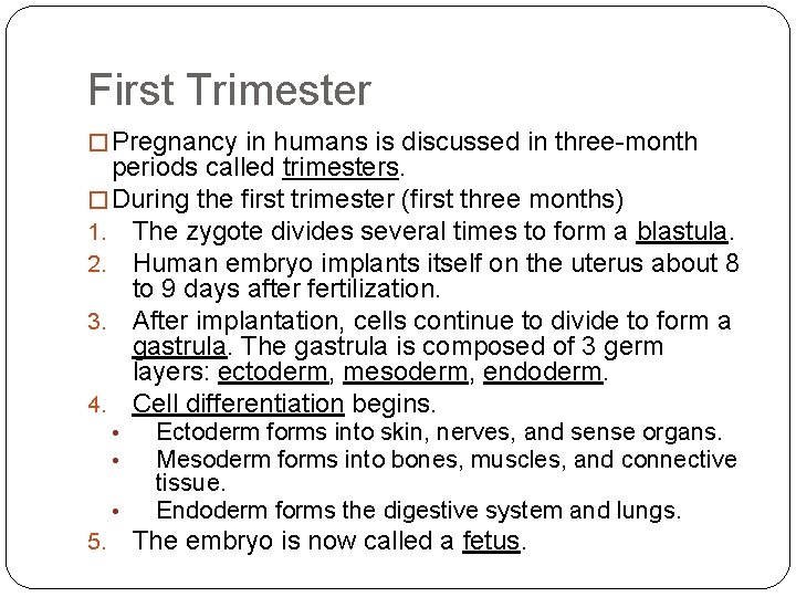 First Trimester � Pregnancy in humans is discussed in three-month periods called trimesters. �