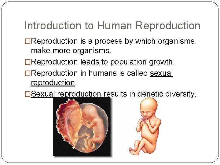 Introduction to Human Reproduction �Reproduction is a process by which organisms make more organisms.