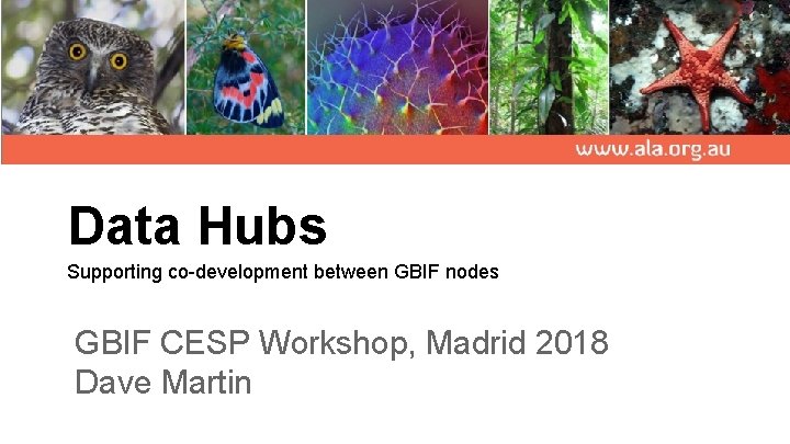 Data Hubs Supporting co-development between GBIF nodes GBIF CESP Workshop, Madrid 2018 Dave Martin