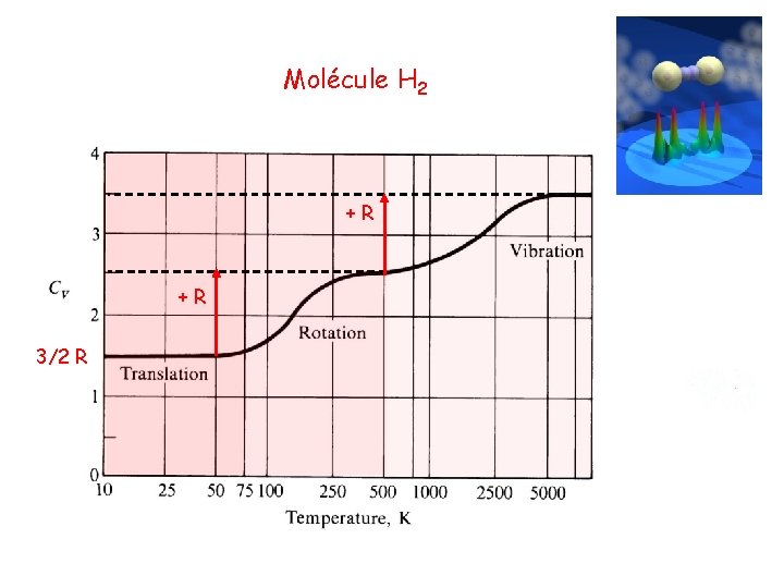Molécule H 2 +R +R 3/2 R Molécule H 2 +R +R 3/2 R