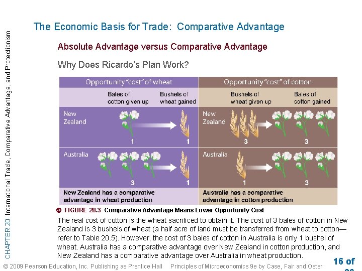 CHAPTER 20 International Trade, Comparative Advantage, and Protectionism The Economic Basis for Trade: Comparative CHAPTER 20 International Trade, Comparative Advantage, and Protectionism The Economic Basis for Trade: Comparative
