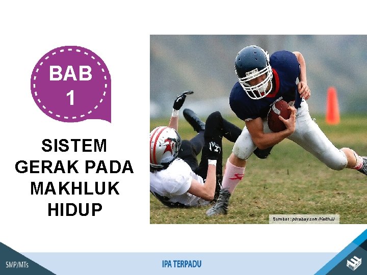 BAB 1 SISTEM GERAK PADA MAKHLUK HIDUP Sumber : pixabay. com/Keith. JJ 