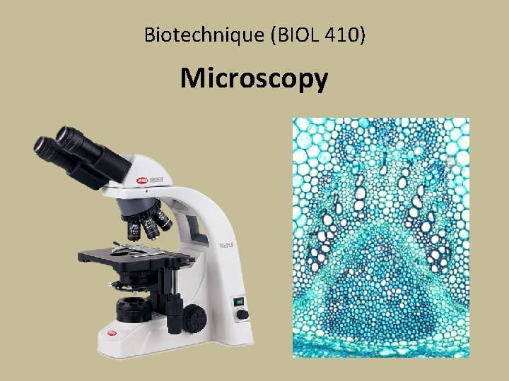 Biotechnique (BIOL 410) Microscopy 