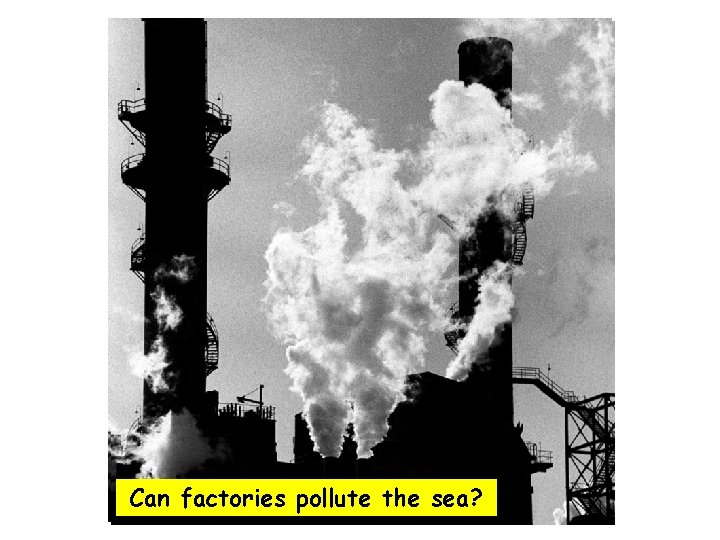 Can factories pollute the sea? 