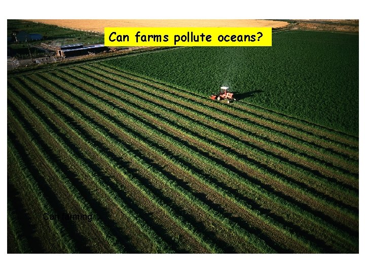 Can farms pollute oceans? Can farming 