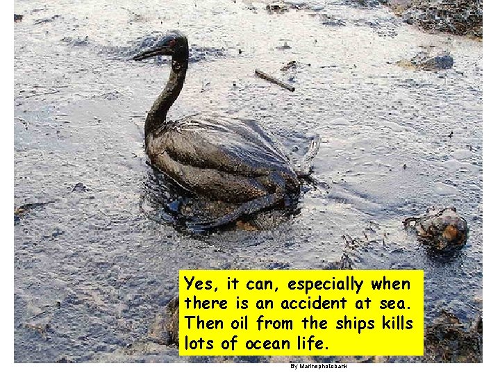 Yes, it can, especially when there is an accident at sea. Then oil from