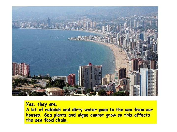 Yes, they are. A lot of rubbish and dirty water goes to the sea