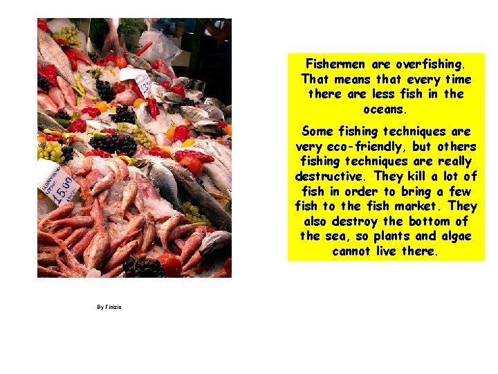 Fishermen are overfishing. That means that every time there are less fish in the