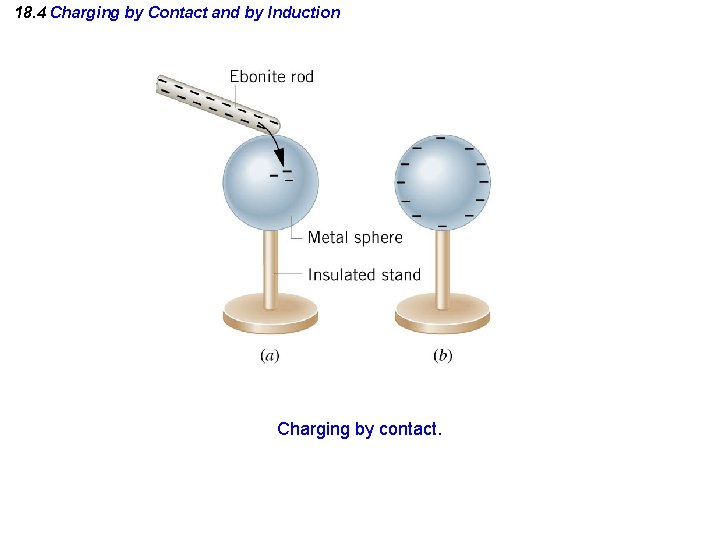 18. 4 Charging by Contact and by Induction Charging by contact. 