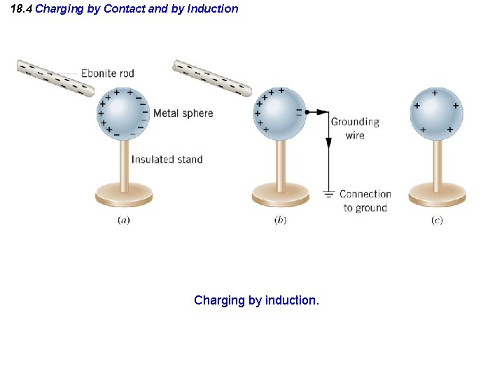 18. 4 Charging by Contact and by Induction Charging by induction. 