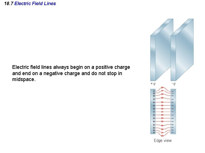 18. 7 Electric Field Lines Electric field lines always begin on a positive charge