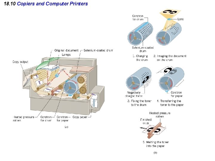 18. 10 Copiers and Computer Printers 