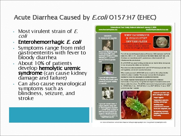 Acute Diarrhea Caused by E. coli O 157: H 7 (EHEC) • • •