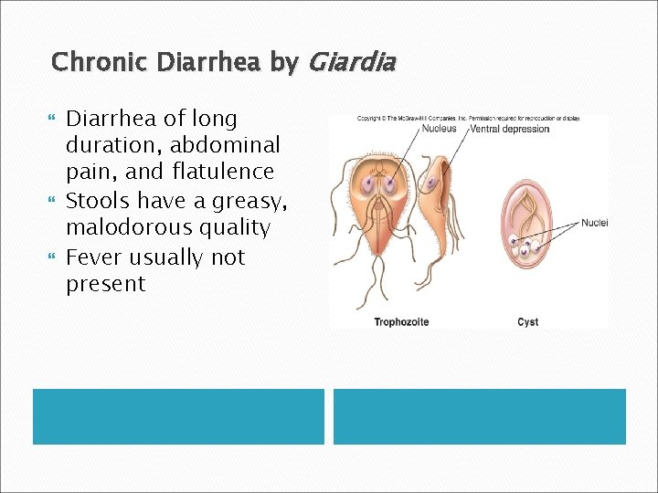 Chronic Diarrhea by Giardia Diarrhea of long duration, abdominal pain, and flatulence Stools have
