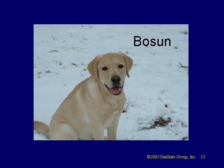 Bosun © 2003 Sea. State Group, Inc. 13 