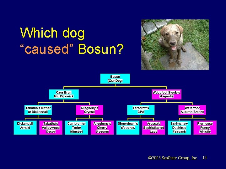 Which dog “caused” Bosun? © 2003 Sea. State Group, Inc. 14 