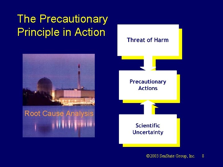 The Precautionary Principle in Action Root Cause Analysis © 2003 Sea. State Group, Inc.