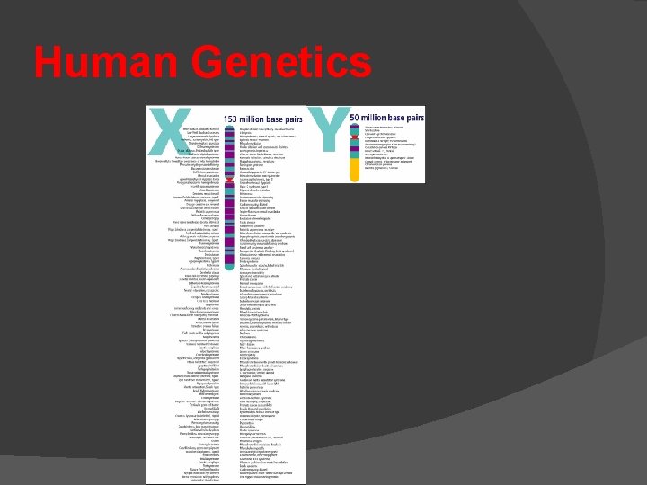 Human Genetics 