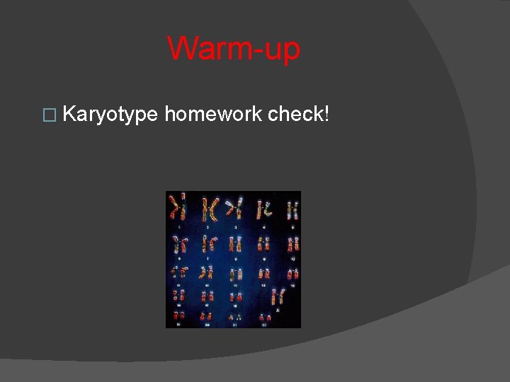 Warm-up � Karyotype homework check! 