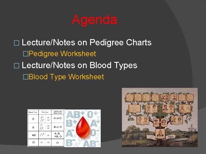 Agenda � Lecture/Notes on Pedigree Charts �Pedigree Worksheet � Lecture/Notes on Blood Types �Blood