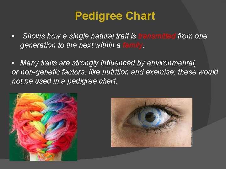 Pedigree Chart • Shows how a single natural trait is transmitted from one generation