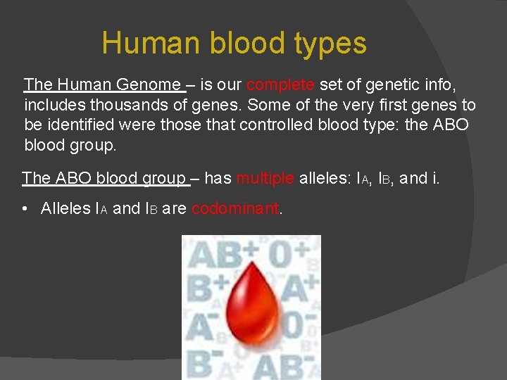 Human blood types The Human Genome – is our complete set of genetic info,