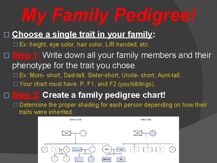 My Family Pedigree! � Choose a single trait in your family: � Ex: height,