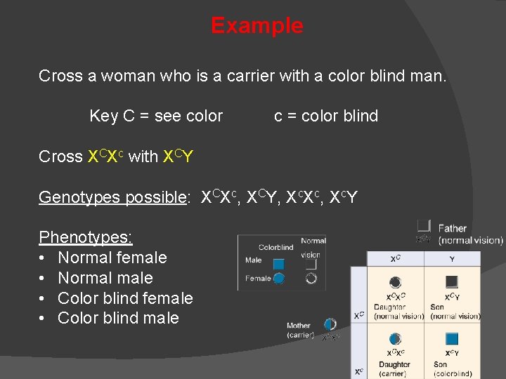 Example Cross a woman who is a carrier with a color blind man. Key