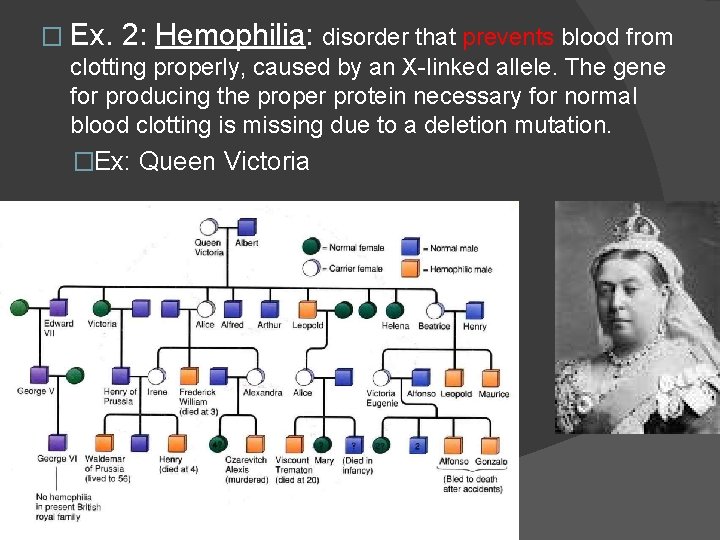 � Ex. 2: Hemophilia: disorder that prevents blood from clotting properly, caused by an