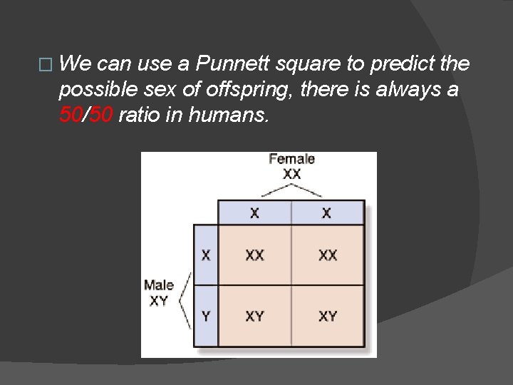 � We can use a Punnett square to predict the possible sex of offspring,