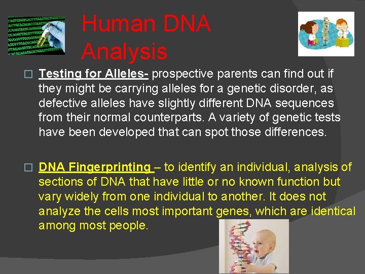 Human DNA Analysis � Testing for Alleles- prospective parents can find out if they
