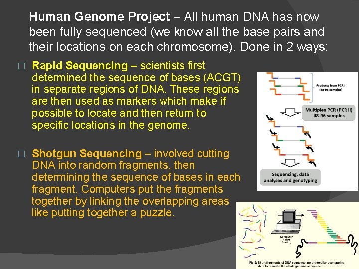 Human Genome Project – All human DNA has now been fully sequenced (we know