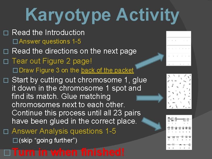 Karyotype Activity � Read the Introduction � Answer questions 1 -5 Read the directions