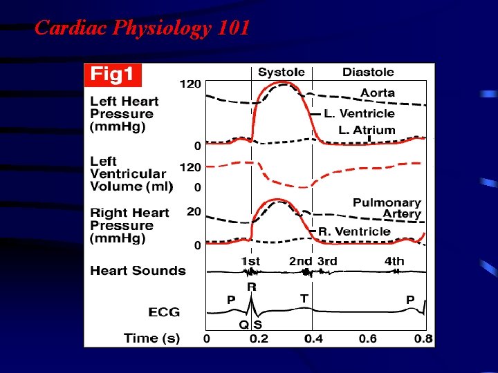 Cardiac Physiology 101 Cardiac Physiology 101