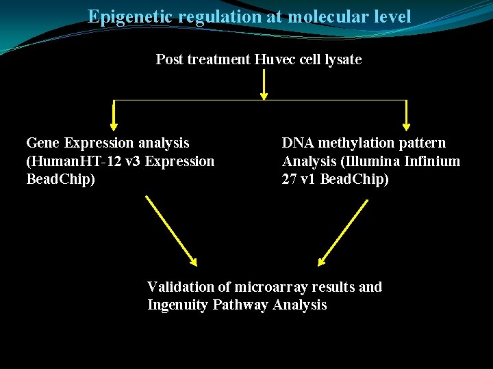 Epigenetic regulation at molecular level Post treatment Huvec cell lysate Gene Expression analysis (Human.