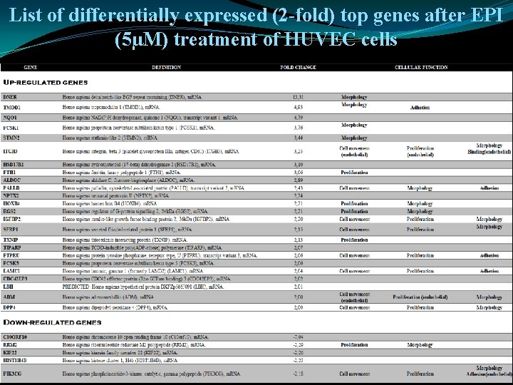 List of differentially expressed (2 -fold) top genes after EPI (5µM) treatment of HUVEC