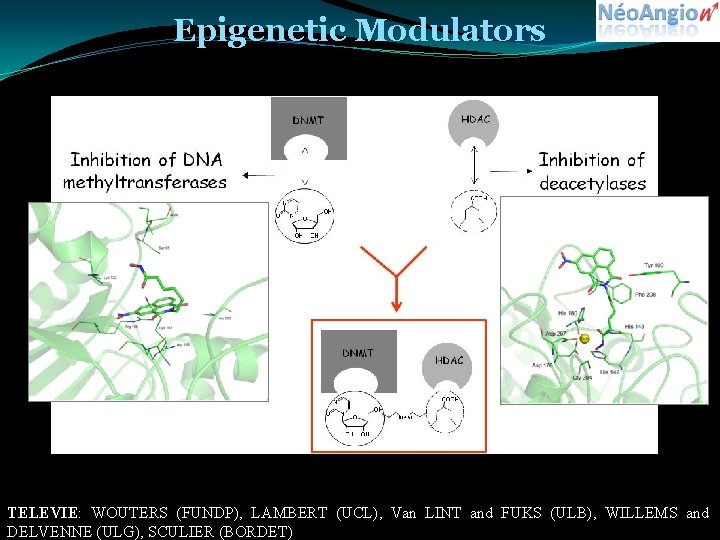Epigenetic Modulators TELEVIE: WOUTERS (FUNDP), LAMBERT (UCL), Van LINT and FUKS (ULB), WILLEMS and