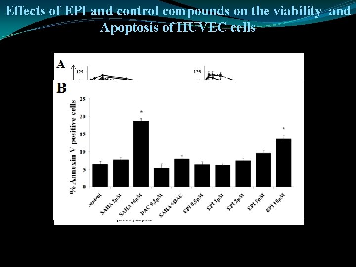 Effects of EPI and control compounds on the viability and Apoptosis of HUVEC cells