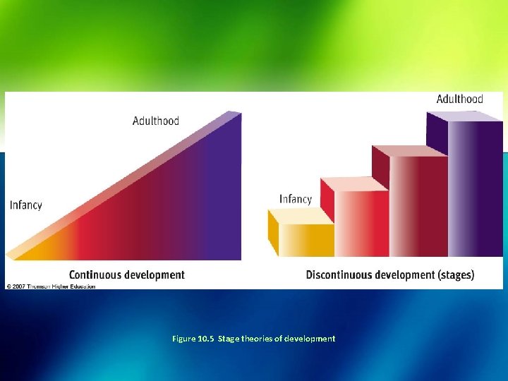 Figure 10. 5 Stage theories of development 