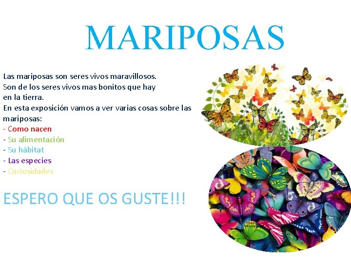 MARIPOSAS Las mariposas son seres vivos maravillosos. Son de los seres vivos mas bonitos