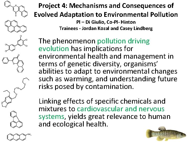 Project 4: Mechanisms and Consequences of Evolved Adaptation to Environmental Pollution PI – Di