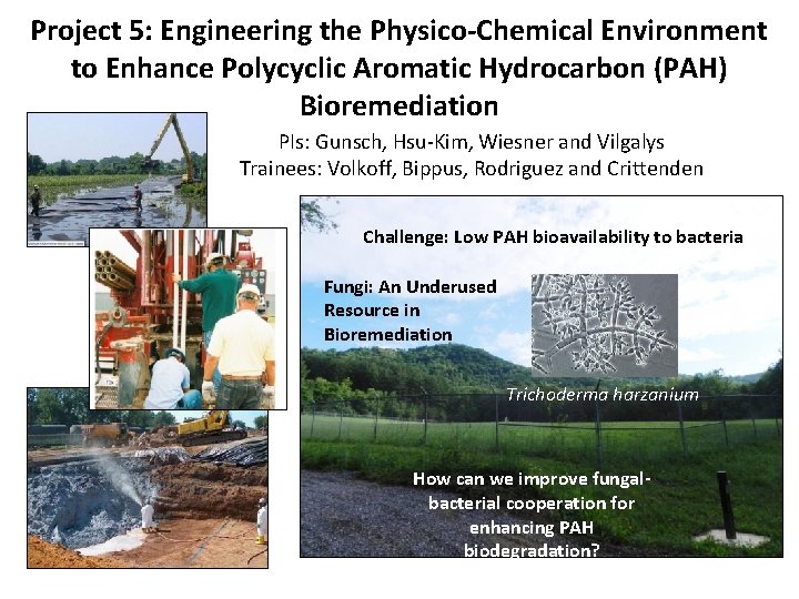 Project 5: Engineering the Physico-Chemical Environment to Enhance Polycyclic Aromatic Hydrocarbon (PAH) Bioremediation PIs: