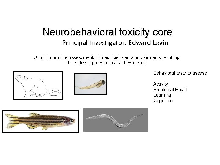 Neurobehavioral toxicity core Principal Investigator: Edward Levin Goal: To provide assessments of neurobehavioral impairments