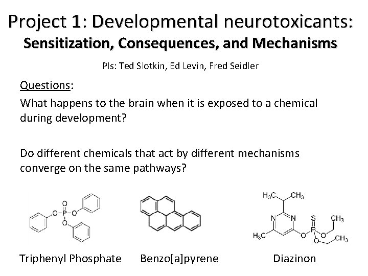 Project 1: Developmental neurotoxicants: Sensitization, Consequences, and Mechanisms PIs: Ted Slotkin, Ed Levin, Fred
