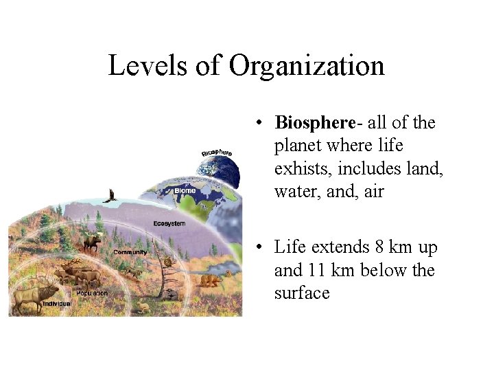 Levels of Organization • Biosphere- all of the planet where life exhists, includes land,