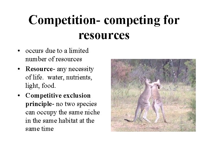Competition- competing for resources • occurs due to a limited number of resources •